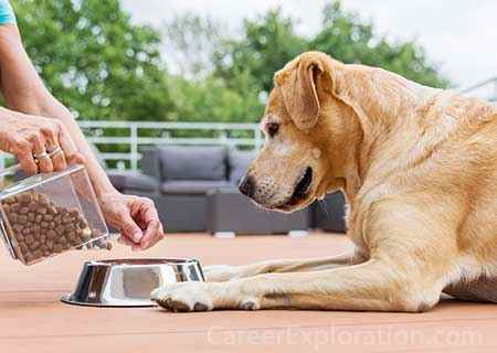 Animal Nutrition | Career Exploration