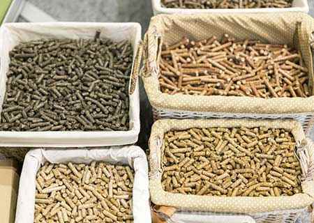 Animal Nutrition | Career Exploration