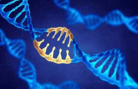 Cell/Cellular and Molecular Biology