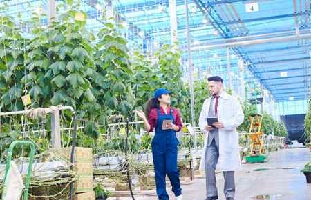 Agricultural Engineering Major