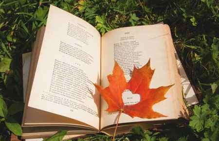 American Literature (Canadian) Major