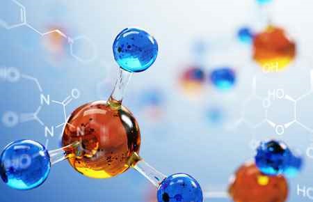 Biochemistry and Molecular Biology Major