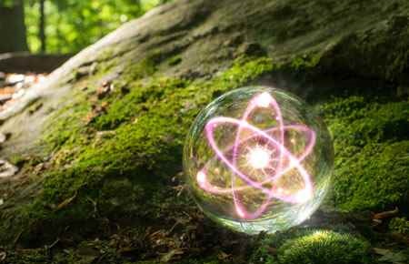 Radiation Biology/Radiobiology Major