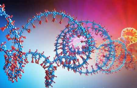 Structural Biology Major