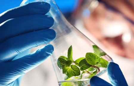 biological and biomedical sciencesbiotechnology