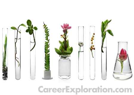 Botany/Plant Biology Major