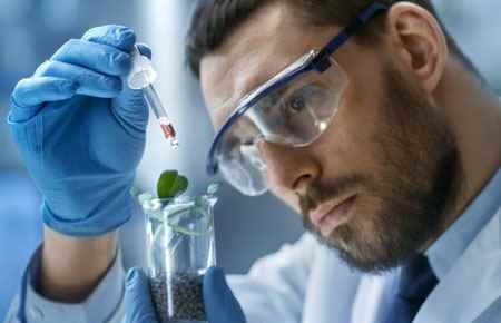 Plant Molecular Biology Major