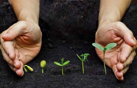 Plant Physiology Major