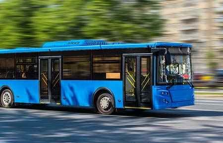 bus driver