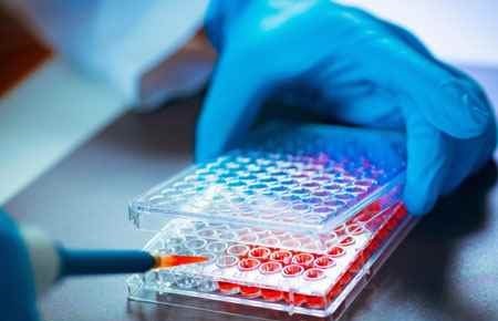 chemical-biomolecular-engineering