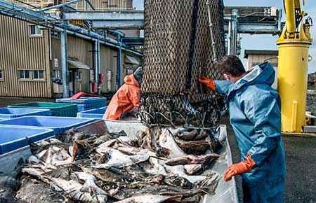 commercialfishing