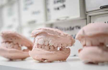 Dental Public Health and Education Major