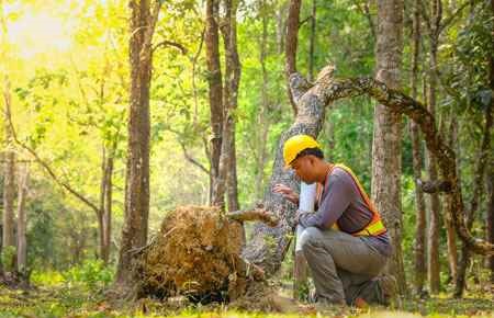 Environmental Engineering Technology/Environmental Technology Major