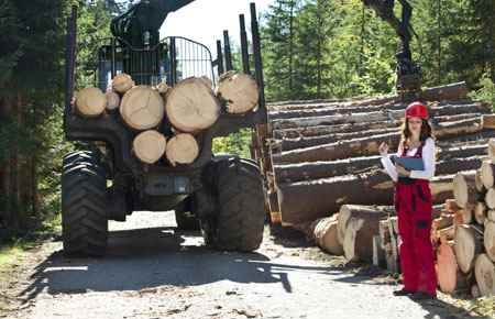Forest Engineering Major
