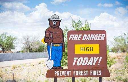 forest fire prevention