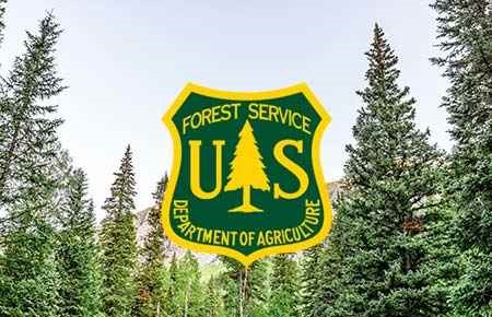 forest service