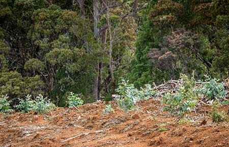 natural resources conservation