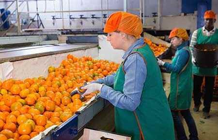 Agricultural and Food Products Processing
