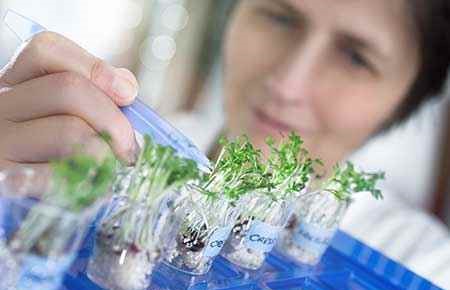 Plant Sciences, General