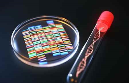 Genetics Major