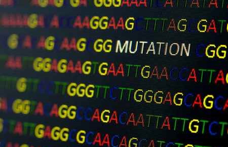 Genome Sciences/Genomics Major