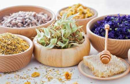 Herbalism/Herbalist Major