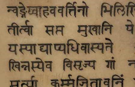 Hindi Language and Literature Major