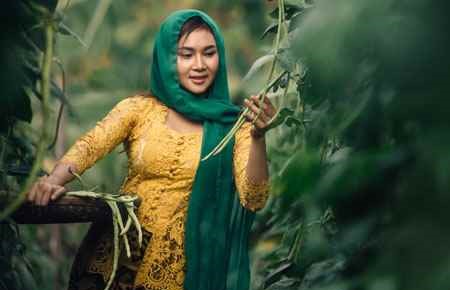 Indonesian/Malay Languages and Literatures Major