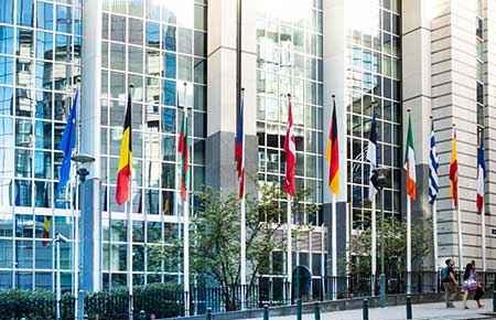 International Law and Legal Studies Major
