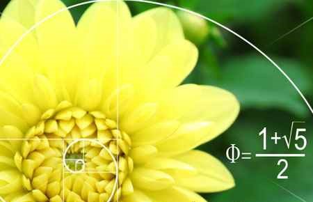 Mathematical Biology Major