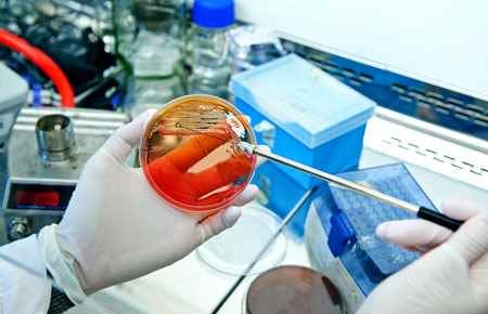 Microbiology, General Major