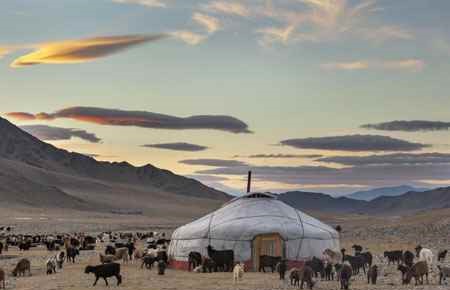 Mongolian Language and Literature Major