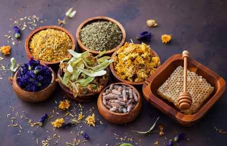 Naturopathic Medicine/Naturopathy Major