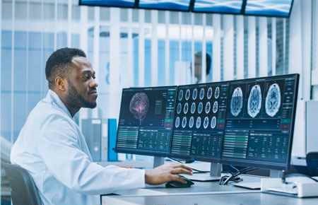 Neuroanatomy Major