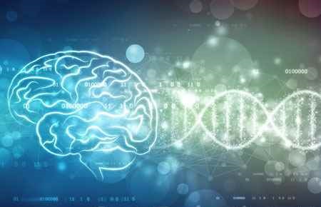 Neurobiology and Anatomy Major