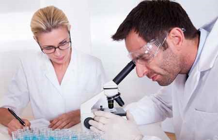 Pathology/Pathologist Assistant Major