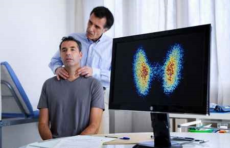 Endocrinology Major