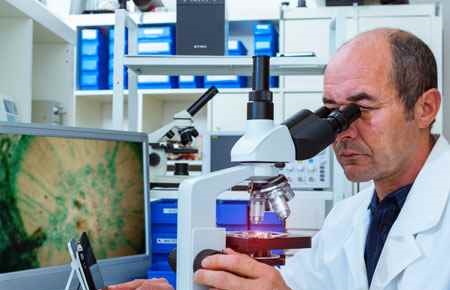 Pathology/Experimental Pathology Major