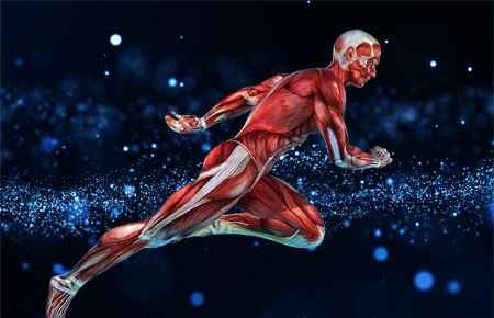 Physiology, General Major