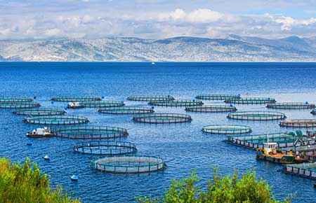 Aquaculture