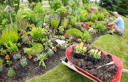 Landscaping and Groundskeeping