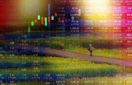 Agricultural Economics