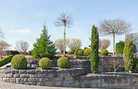 Ornamental Horticulture