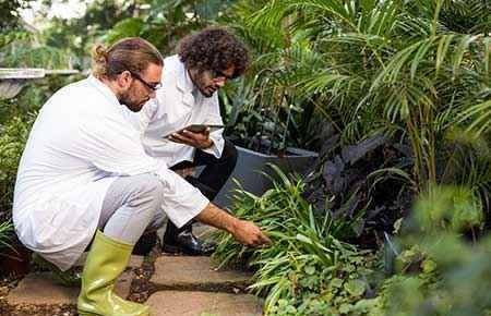 Horticultural Science