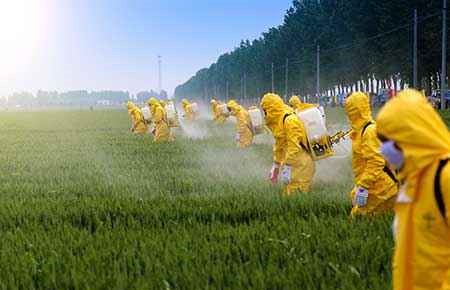 Plant Protection and Integrated Pest Management