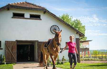 Horse Husbandry/Equine Science and Management