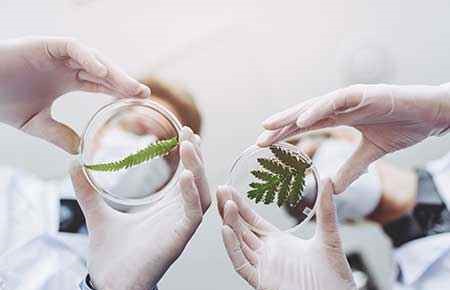 Agricultural and Horticultural Plant Breeding
