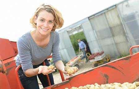 Crop Production