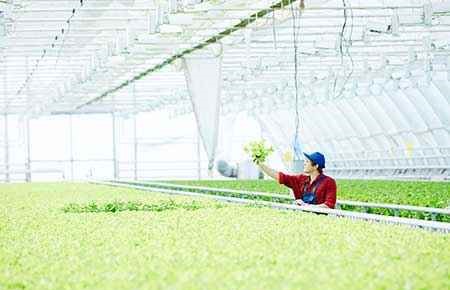 Agroecology and Sustainable Agriculture