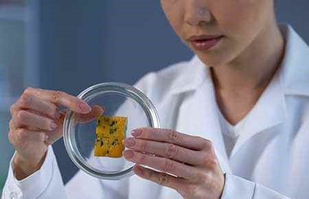 Dairy Science